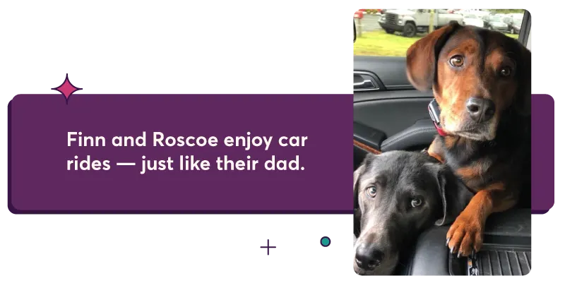 Finn and Roscoe enjoy car rides - just like their dad.