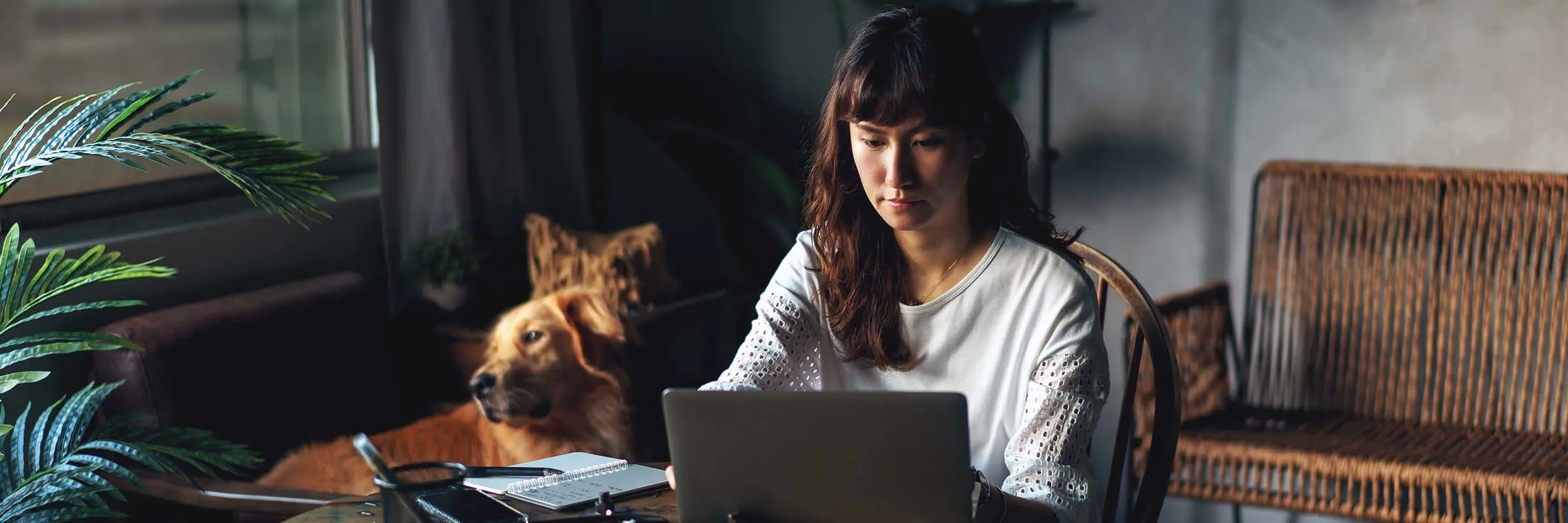 Young woman looking at her computer at her home. Her dog sits in a chair in the background.