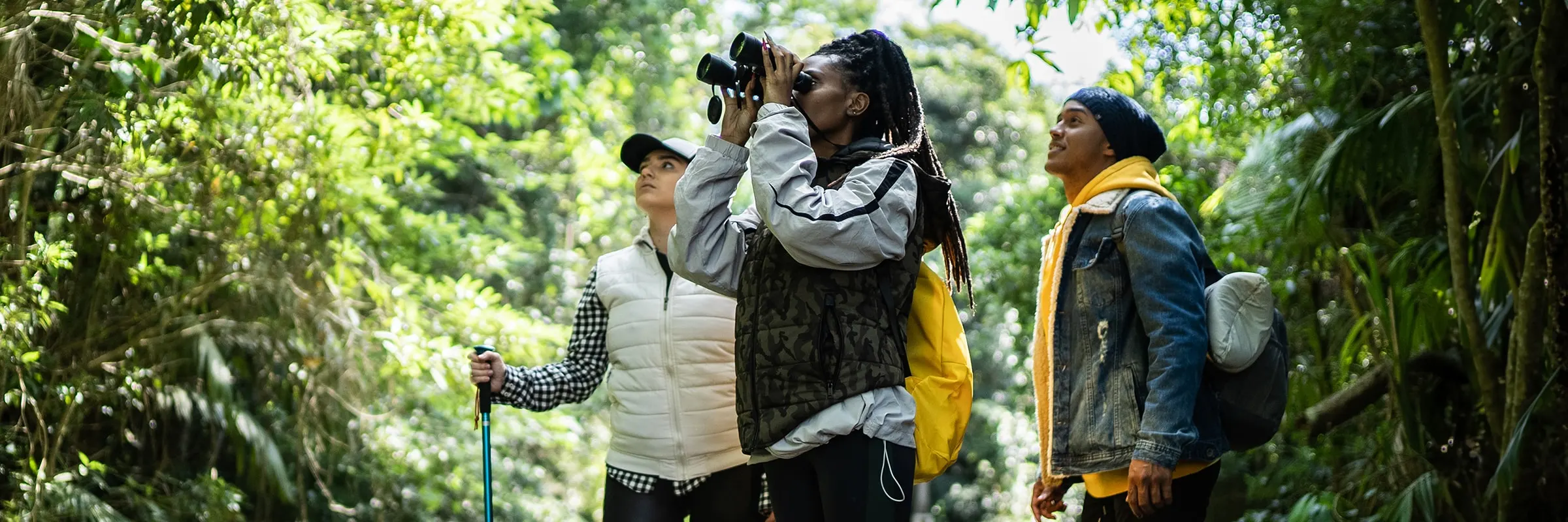  Three friends hiking looking at the trees. One friend has binoculars.