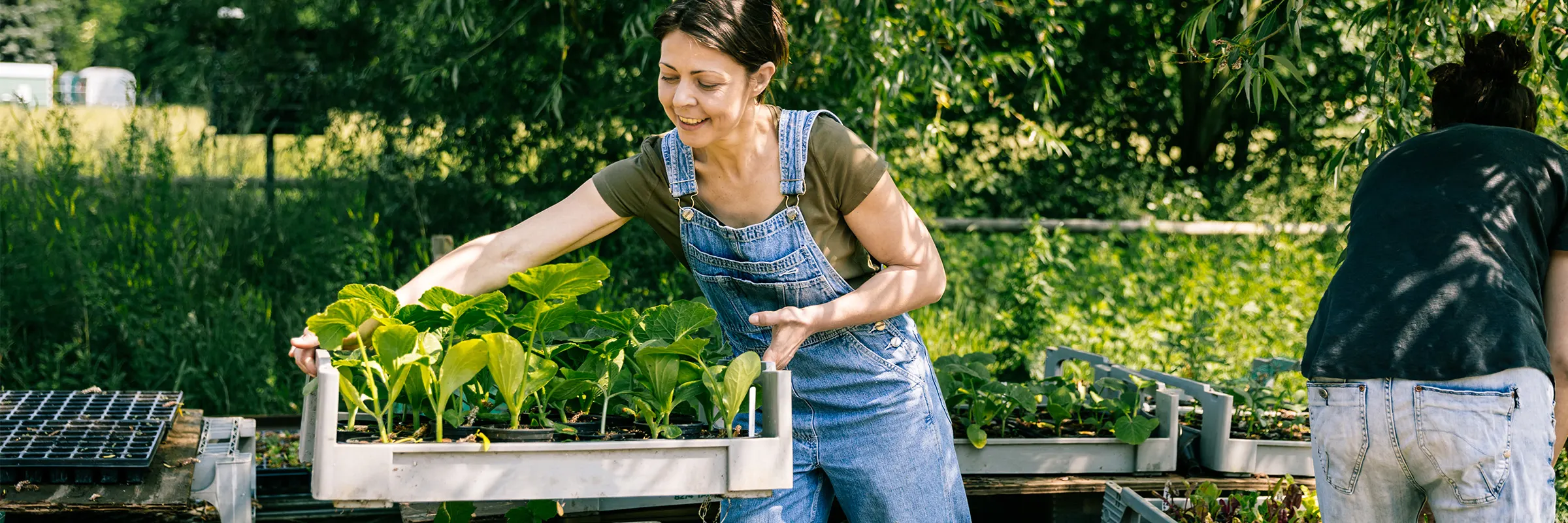 Two women care for young plants in an outdoor garden.