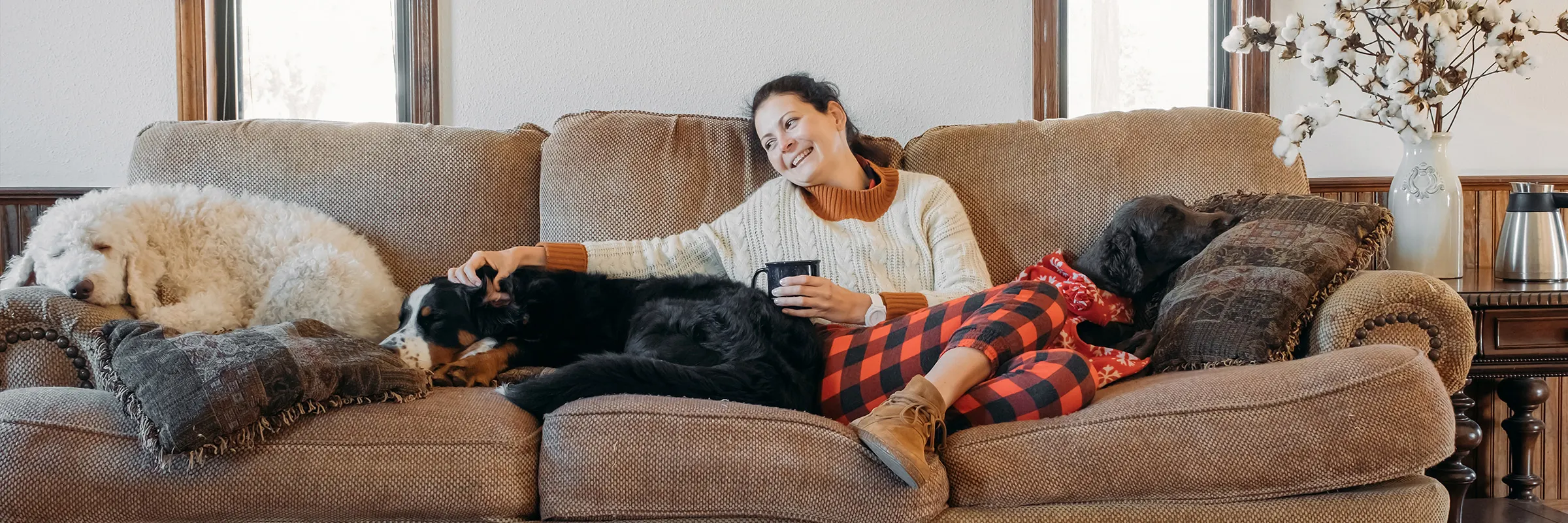  A woman relaxes on the couch with her two dogs. 