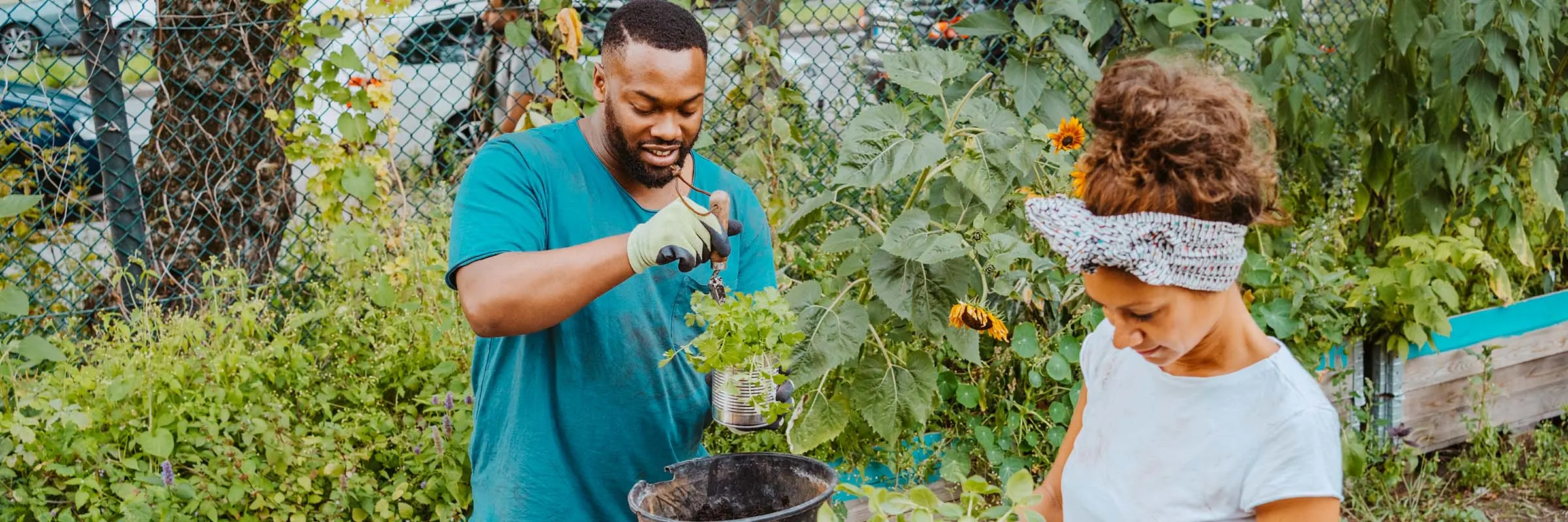 A man and a woman potting plants in a garden