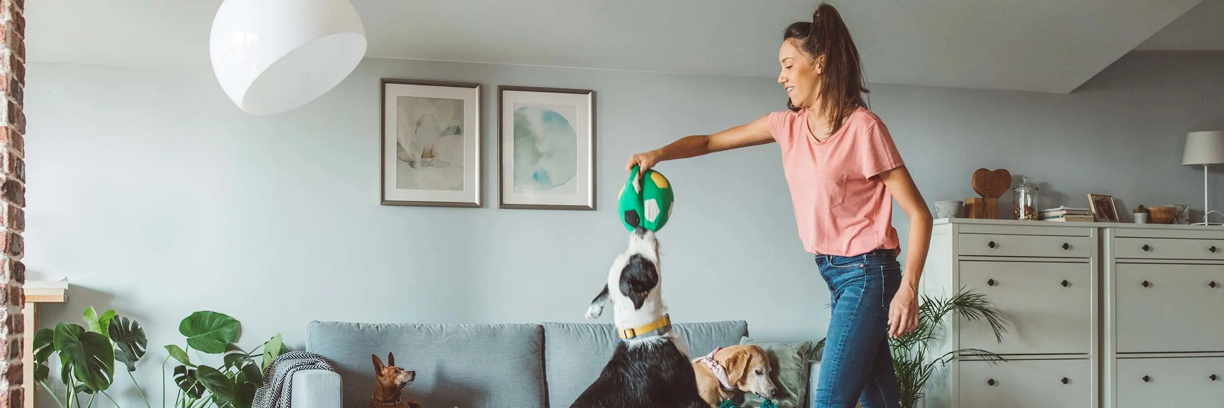 Woman playing with dog in living room