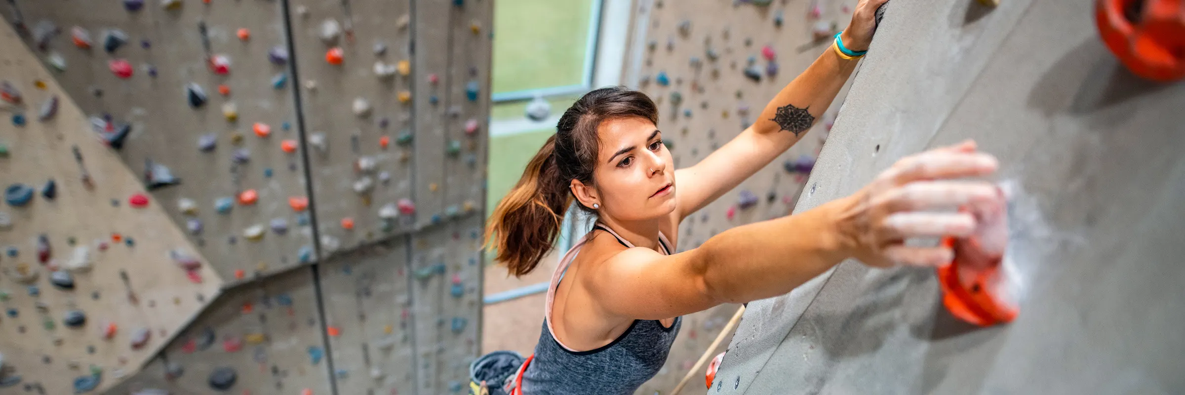 Rock climber on a wall at an indoor rock climbing gym.