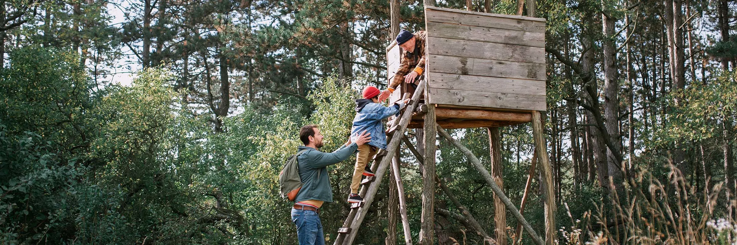 Three generations of men are in the woods, climbing up a ladder to a wooden hunting tower.  