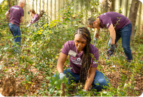 a group of Ally employees gardening