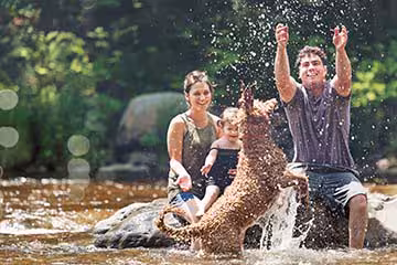 Read more about Life Insurance and How It Works