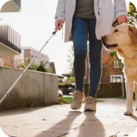 A person in a green shirt, white jacket and jeans walks down the street with a white mobility cane in their right hand and their left hand holding the collar of a golden retriever service dog.