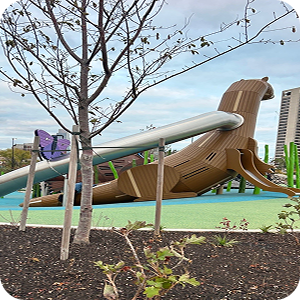 Newly planted trees and landscaping at Ralph C. Wilson, Jr. Centennial Park with a wooden dinosaur play structure in the background